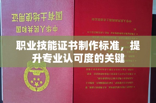垣曲职业技能证书制作标准，提升专业认可度的关键
