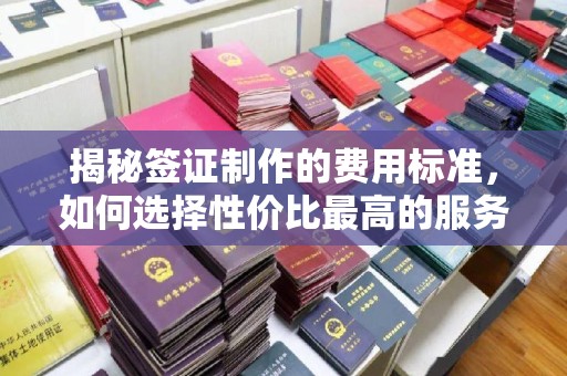 垣曲揭秘签证制作的费用标准，如何选择性价比最高的服务？